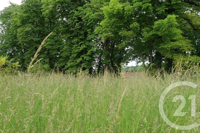 Afficher la photo en grand terrain à vendre - 740.0 m2 - LE MALESHERBOIS - 45 - CENTRE - Century 21 Agence De Malesherbes