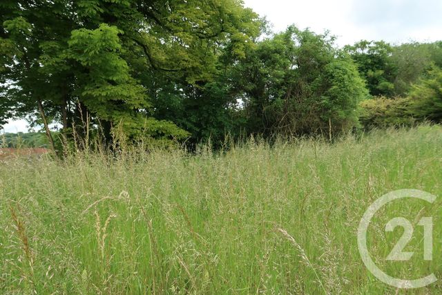 Afficher la photo en grand terrain à vendre - 740.0 m2 - LE MALESHERBOIS - 45 - CENTRE - Century 21 Agence De Malesherbes