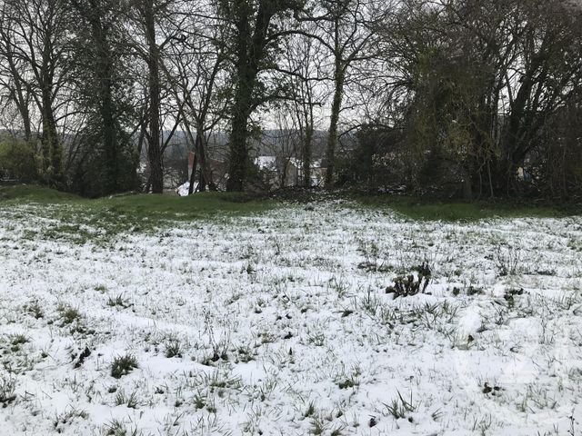 Afficher la photo en grand terrain à vendre - 740.0 m2 - LE MALESHERBOIS - 45 - CENTRE - Century 21 Agence De Malesherbes