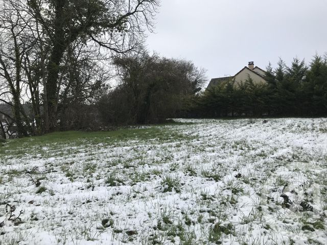 Afficher la photo en grand terrain à vendre - 740.0 m2 - LE MALESHERBOIS - 45 - CENTRE - Century 21 Agence De Malesherbes