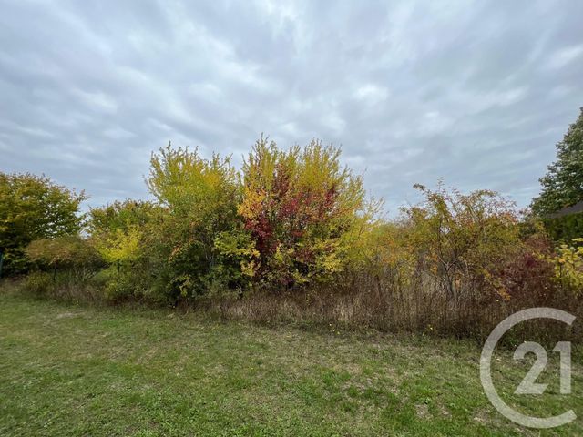 terrain - BRIARRES SUR ESSONNE - 45